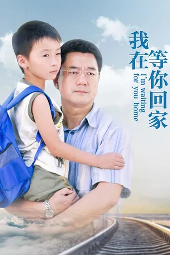 我在等你回家 poster