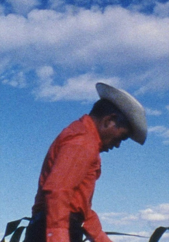 Anselmo and the Women poster