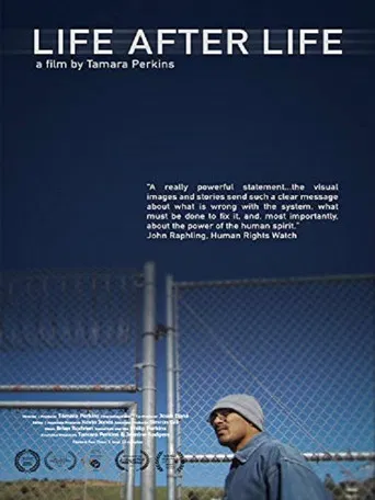 Life After Life poster