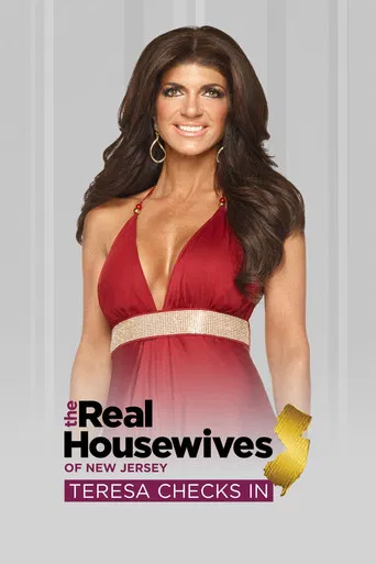 The Real Housewives of New Jersey: Teresa Checks In poster