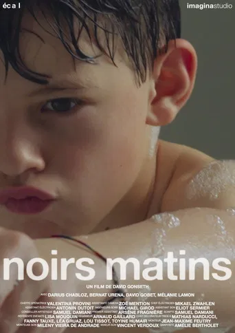 Black Mornings poster