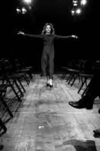 The seagull - the movie poster