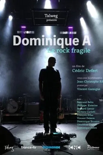 Dominique A, le rock fragile poster