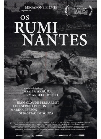 Os Ruminantes poster