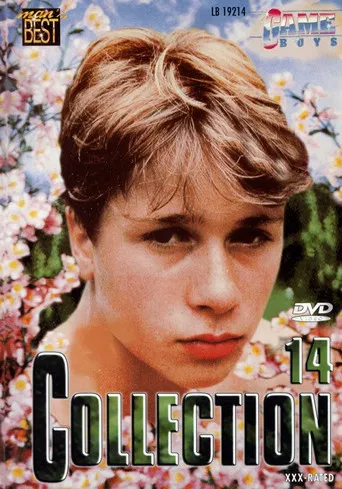 Game Boys Collection 14 poster