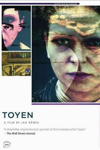 Toyen poster