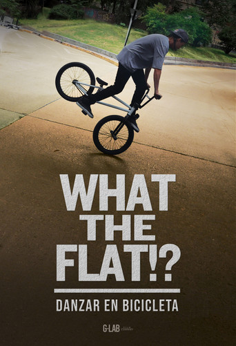 WHAT THE FLAT!? poster