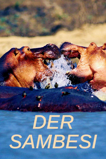 Der Sambesi poster