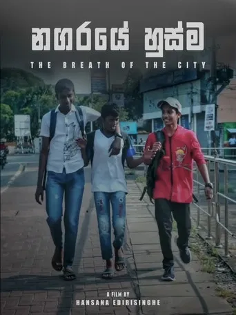 The Breath of the City poster