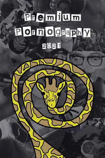 Premium Pornography poster