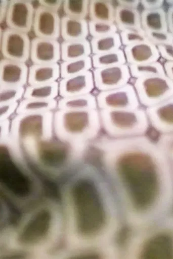 Me Thing - You Dog poster