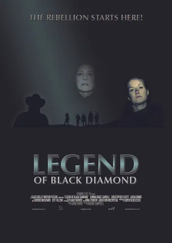 Legend of Black Diamond poster