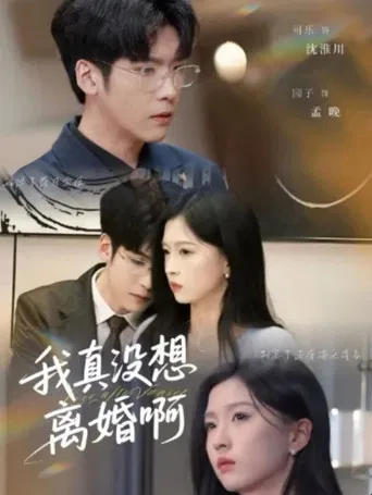 我真没想离婚啊 poster