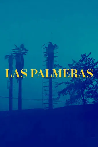 The Palm Trees (Documentary Niños del Cerro) poster