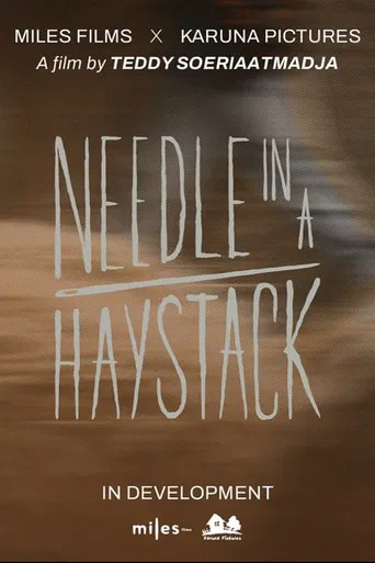 Needle In A Haystack poster