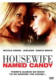 A Housewife Named Candy poster