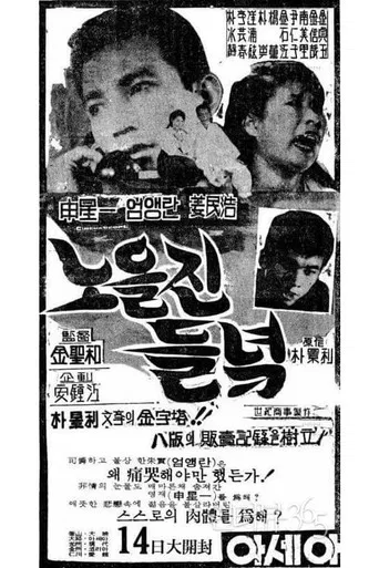 The Field Glow with the Setting Sun poster