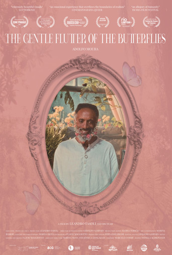 The Gentle Flutter of the Butterflies poster