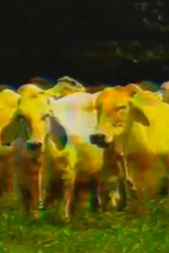 El Ángel del Pantano poster