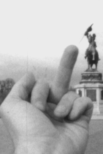 Along the beautiful Danube poster