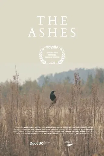 The Ashes poster