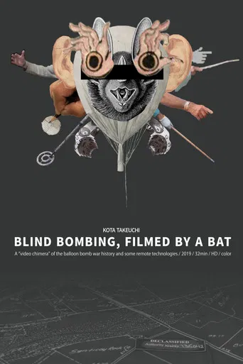 Blind Bombing, Filmed by a Bat poster
