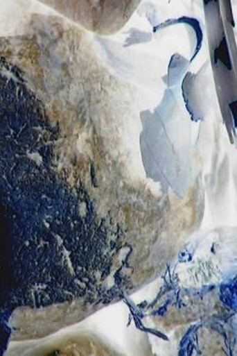 Ecosystem 17 ~ Castor poster