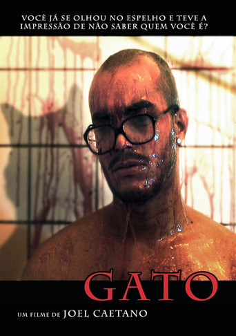 Gato poster
