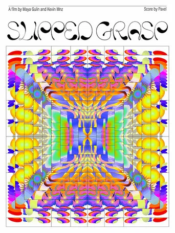 Slipped Grasp poster