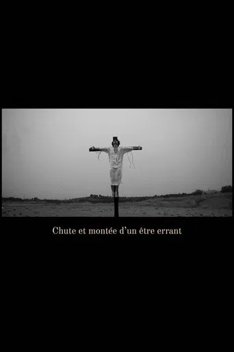 Chute et montée d'un être errant poster