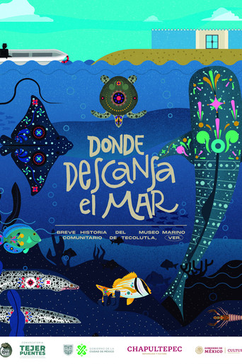 Donde descansa el mar: Breve historia del Museo Marino Comunitario de Tecolutla poster