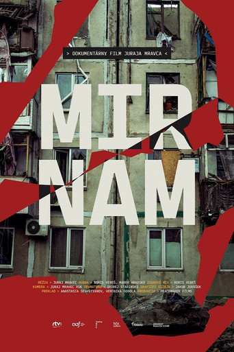 Mir Nam poster