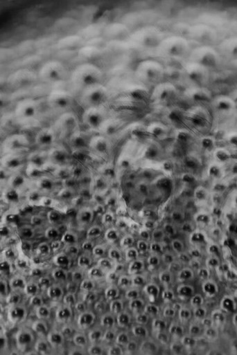 Orbital Discourse poster