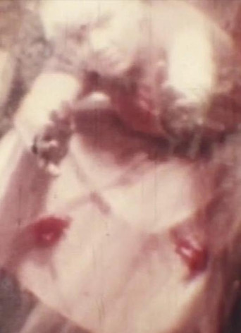 What Isabelle Wants poster