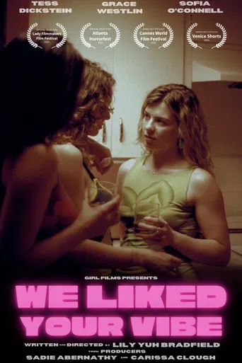 We Liked Your Vibe poster