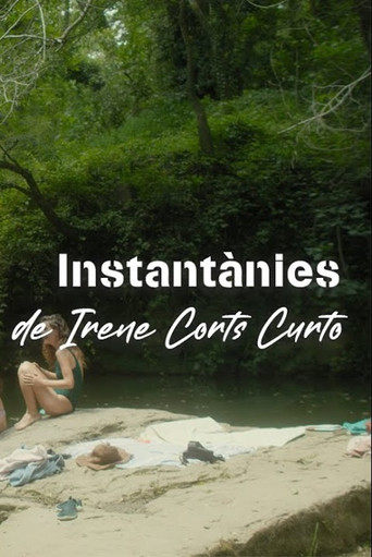 Instantànies poster