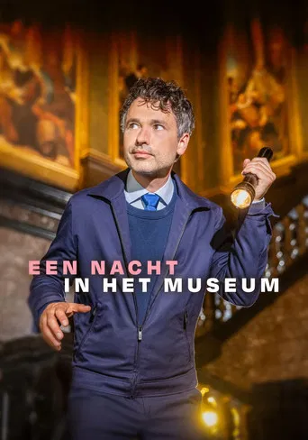 Een Nacht in het Museum poster