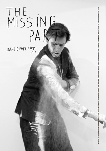 The Missing Part poster