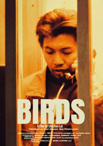 Birds poster