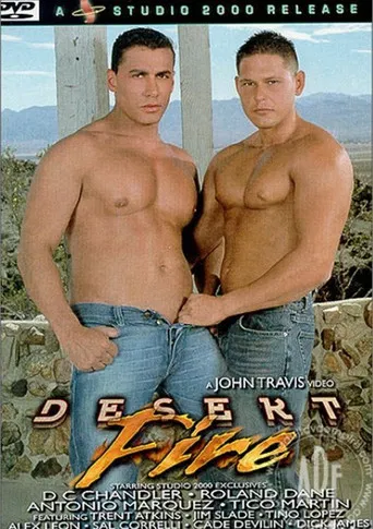 Desert Fire poster