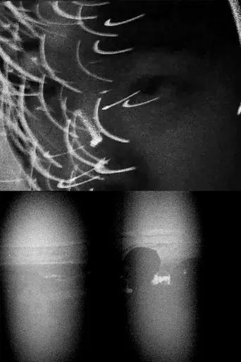 2 Alert eyes finally unpack their bag after 22vacation2 0 poster