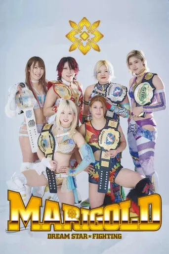 Dream Star★Fighting Marigold poster