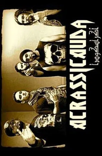 Heavy Metal in Istanbul poster
