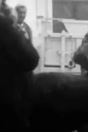 Turkish Professor at the Agricultural School poster