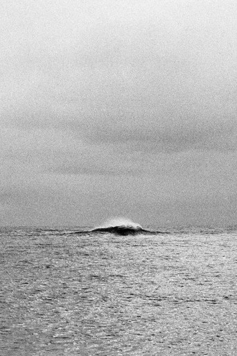 Geometría de ecos poster