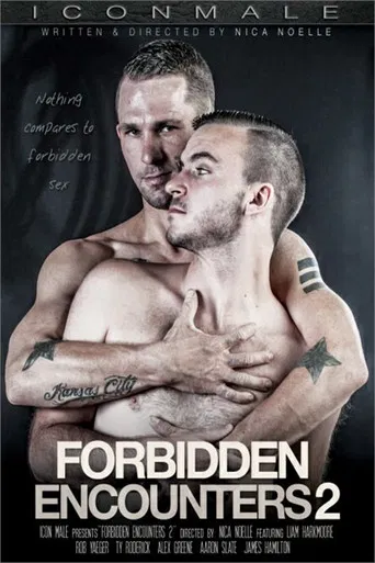 Forbidden Encounters 2 poster