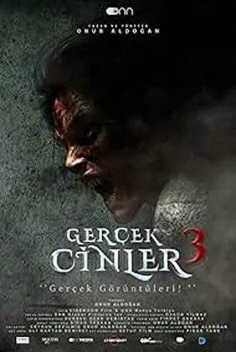 Gerçek Cinler 3 poster