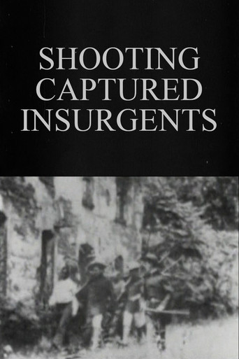 Shooting Captured Insurgents poster