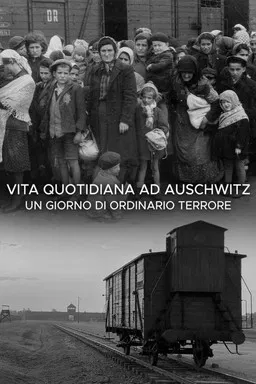 Vita quotidiana ad Auschwitz - Un giorno di ordinario terrore poster