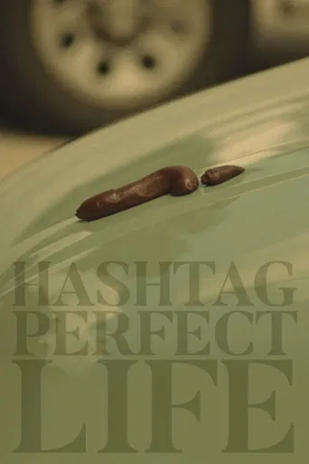 Hashtag Perfect Life poster